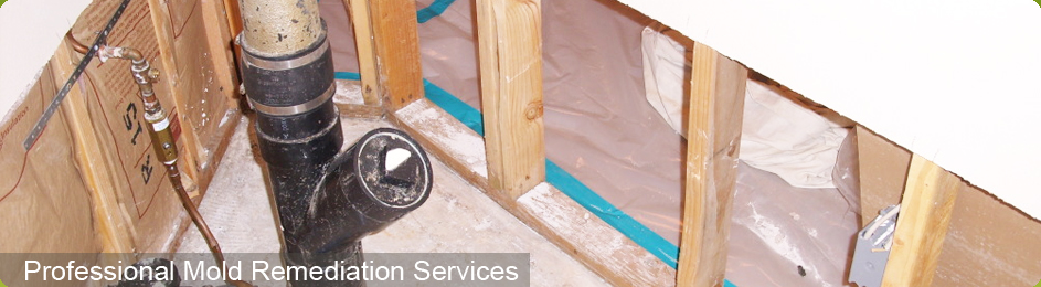 Mold Remediation Services