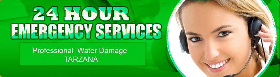 Emergency Restoration Services