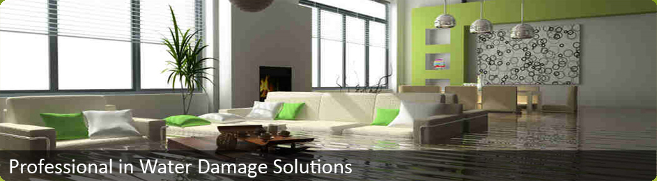 Professional Water Damage Solutions
