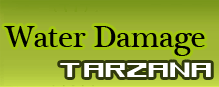 Water Damage Tarzana